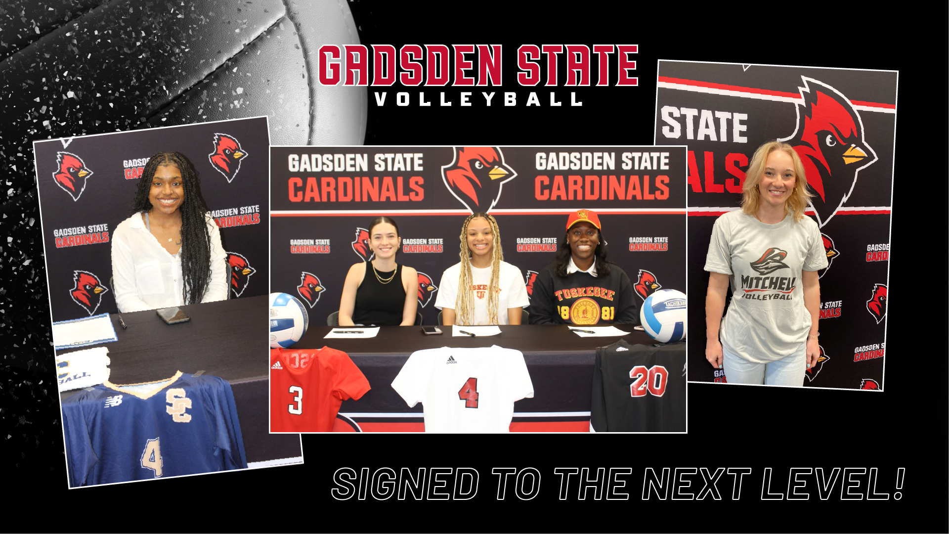 Five Cardinal volleyball players to play at next level