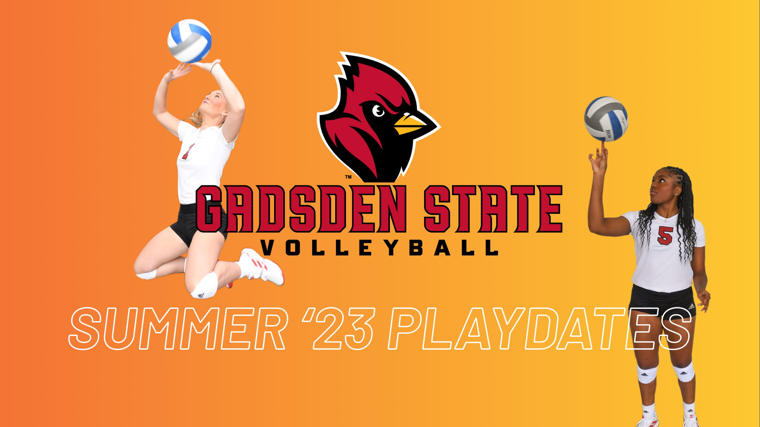 Volleyball to host playdates and summer camps